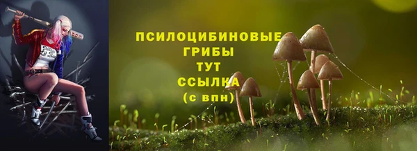 первитин Арсеньев