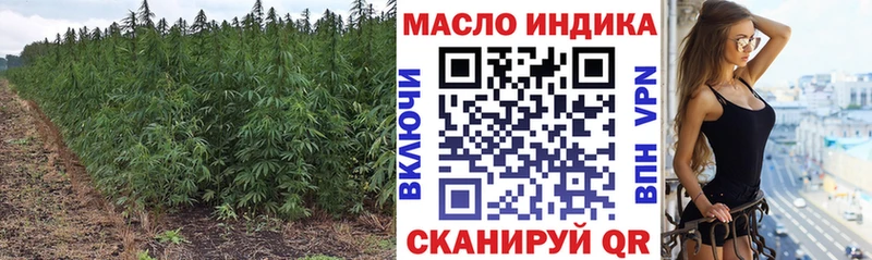 ссылка на мегу как зайти  Сясьстрой  ТГК вейп 